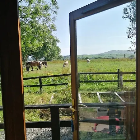 With Your Pet Horská chata Killarney